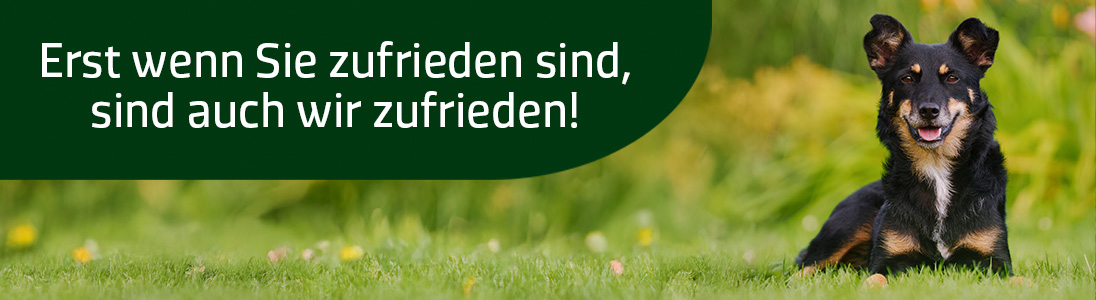 Kontaktformular alsa-hundewelt